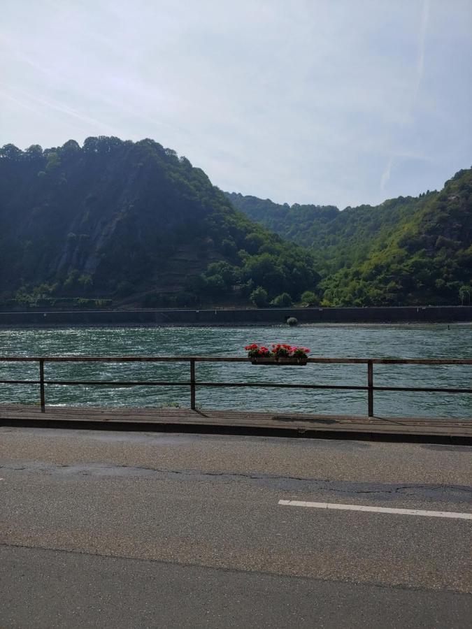 Gaestehaus Rheinburgenblick Kestert المظهر الخارجي الصورة